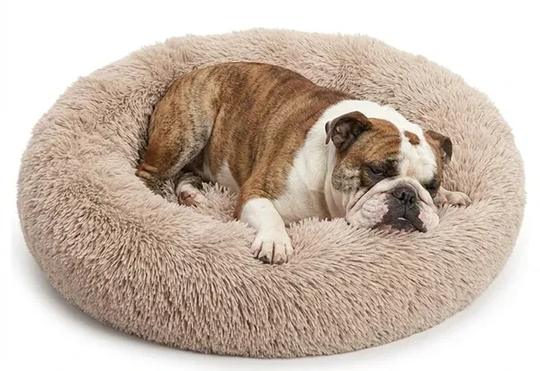An English Bulldog resting in a shag donut calming bed