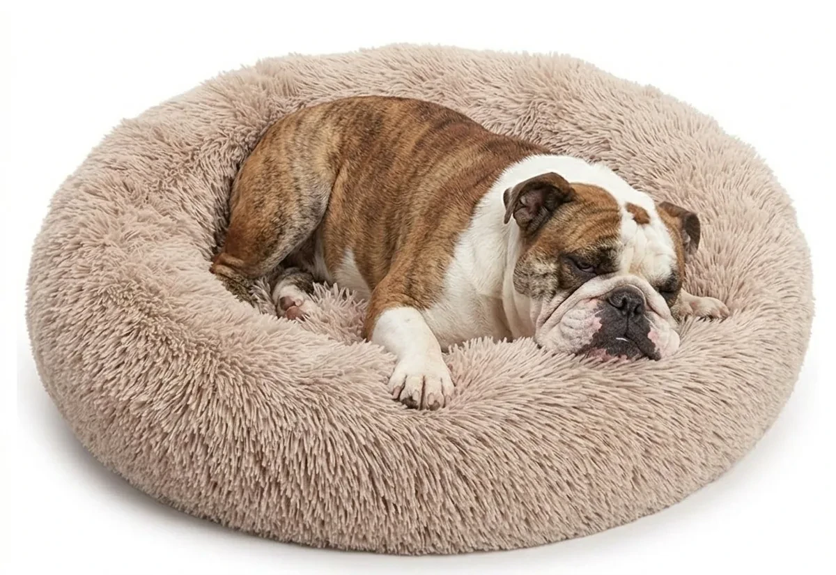An English Bulldog resting in a shag donut calming bed