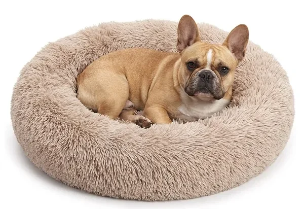 A French Bulldog resting in a shag donut calming bed